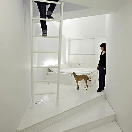 Hostel Design Goli&bosi *